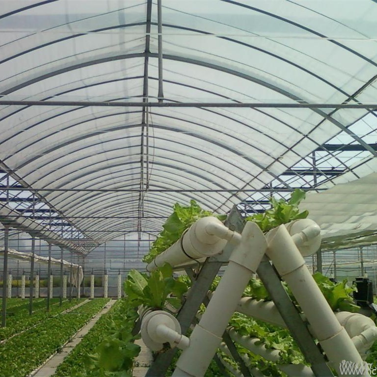 Multi-Span Gothic PC Greenhouse & Hot Sale Low Price Producers