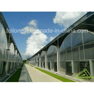 Multi-Span Gothic PC Greenhouse &amp;amp; Hot Sale Low Price Producers