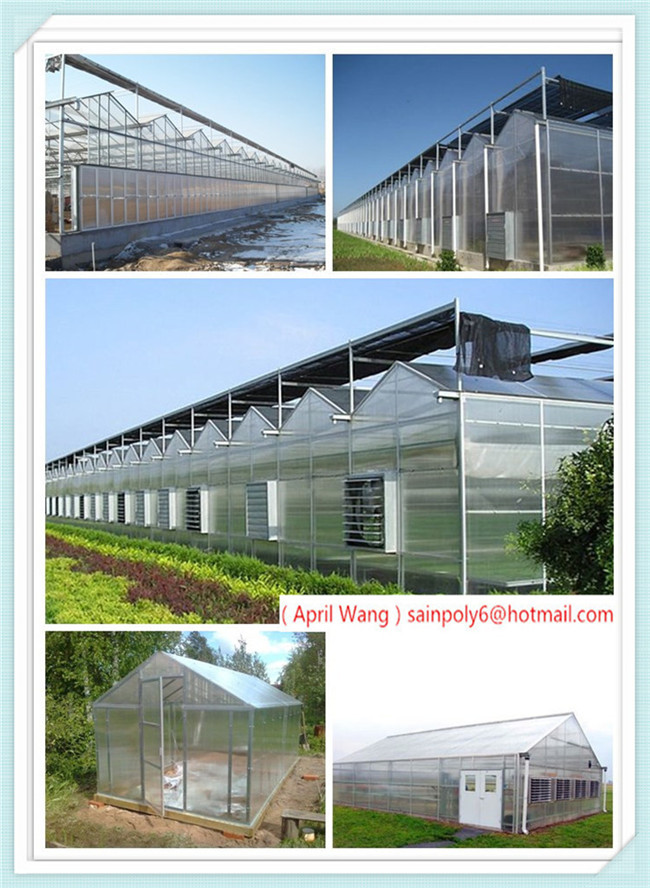 Wholesale PC Sheet Multi-Span Venlo Greenhouse for Hydroponic