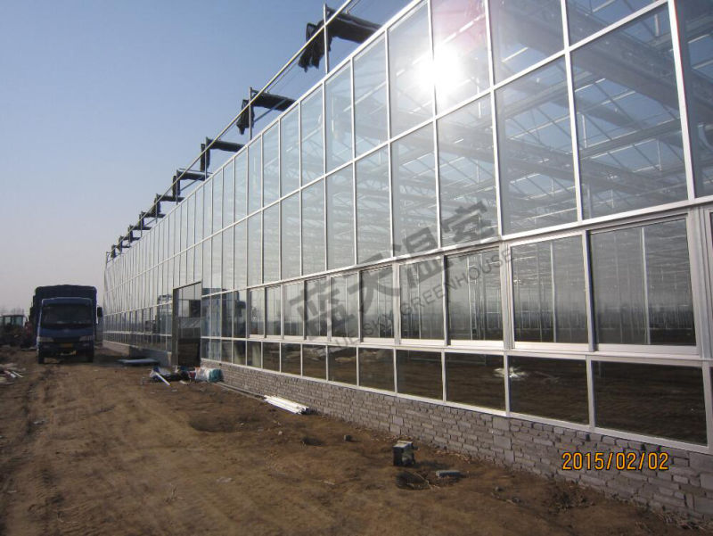 High Cost Performance Long Life Span Glass Greenhouse