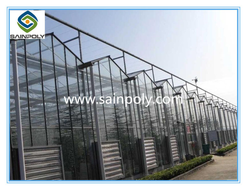 China Tempered Glass Greenhouses for Commercial