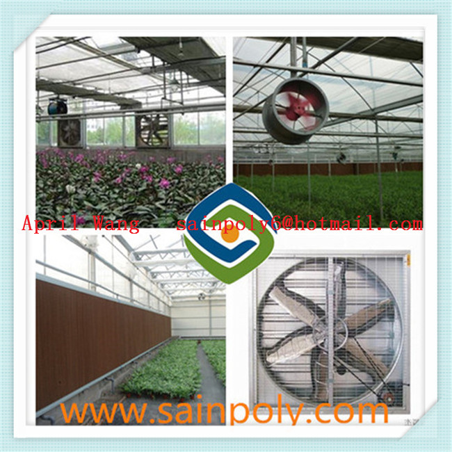 The Cheapest Plastic-Film Greenhouse for Hydroponic