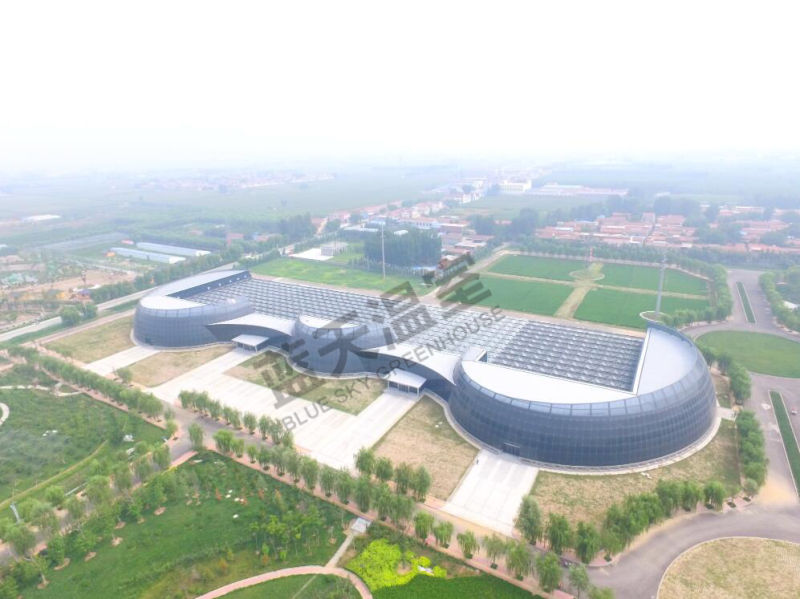 Glass Green House with High Quality and Favorable Price