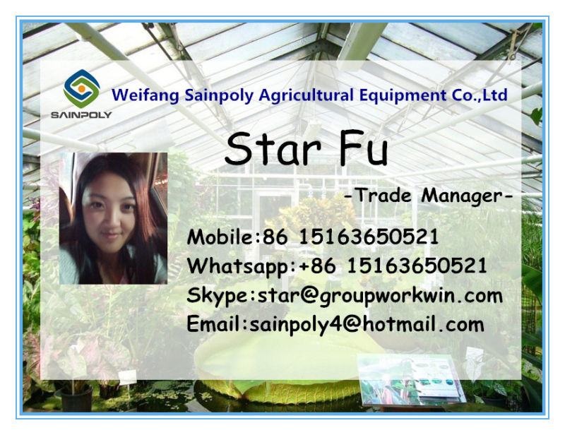 China Tempered Glass Greenhouses for Commercial
