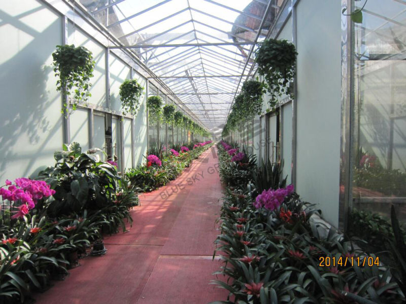Multi-Span Glass Green House Venlo Type