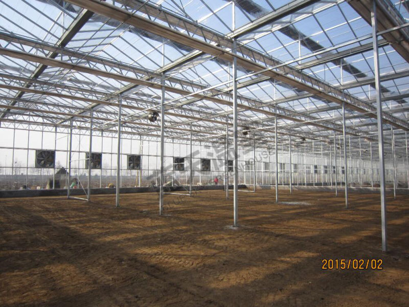 High Cost Performance Long Life Span Glass Greenhouse