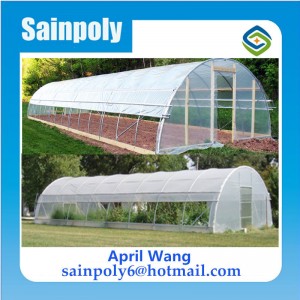Hot Sale Plastic-Film Greenhouse for Potato