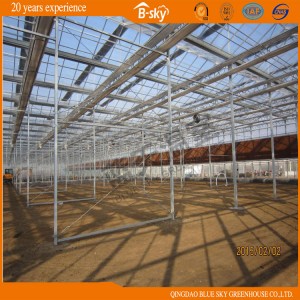 Glass Covered Greenhouse Venlo Type