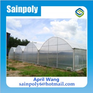 Low Price Plastic-Film Greenhouse Used