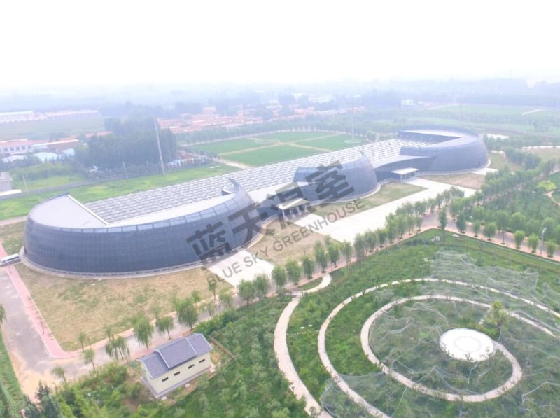 Glass Green House with High Quality and Favorable Price