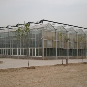 Poly Carbonate Greenhouse for Vegatables