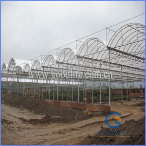 Transparent/Opal White Policarbonate Polycarbonate for Greenhouse