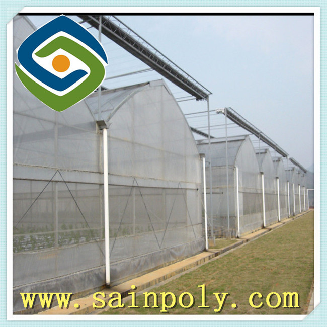 The Cheapest Plastic-Film Greenhouse for Hydroponic