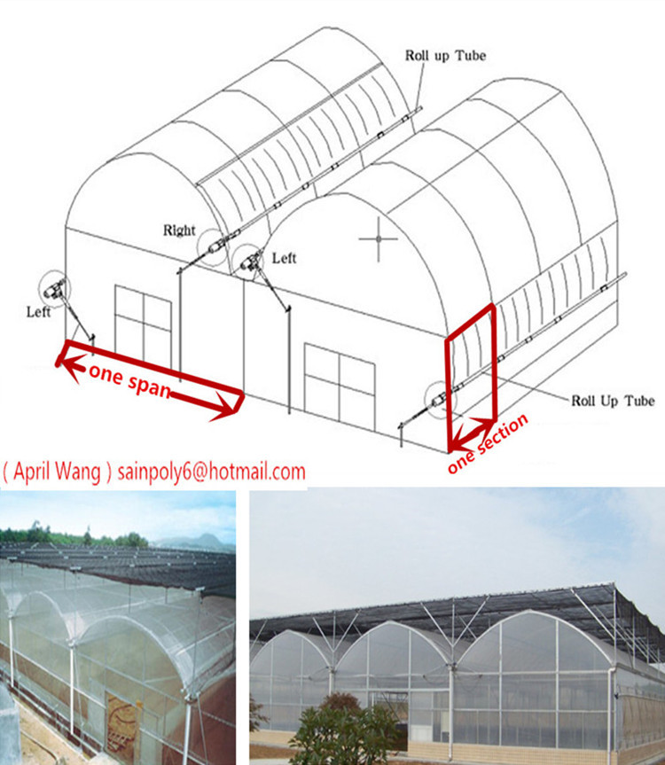 The Cheapest Plastic-Film Greenhouse for Sale