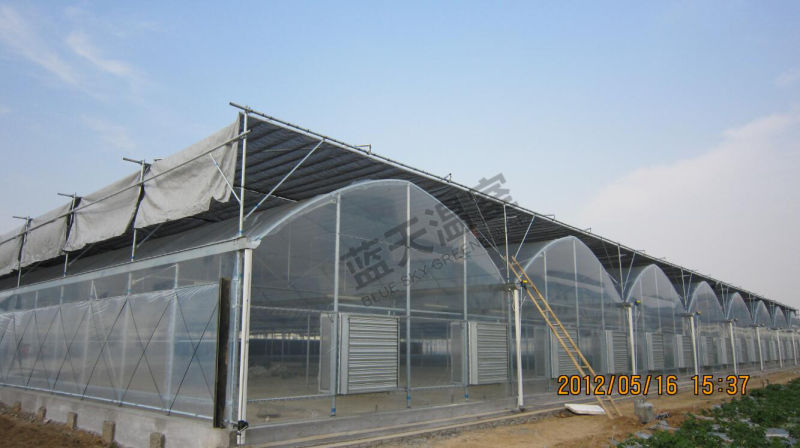 Agricultural Tunnel Multi-Span Film Greenhouse