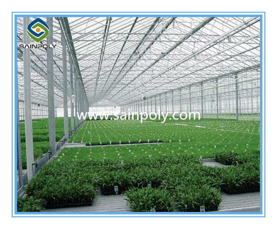 Best Manufacturer PC-Sheet Greenhouse for Commercial