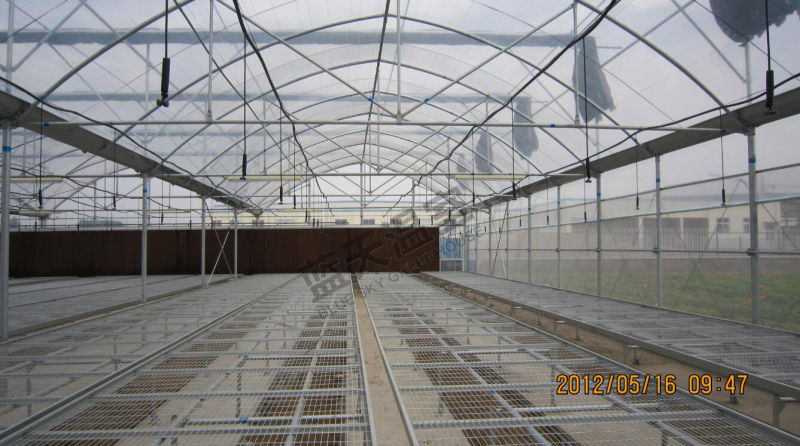 Agricultural Seeding Plastic Film Greenhouse