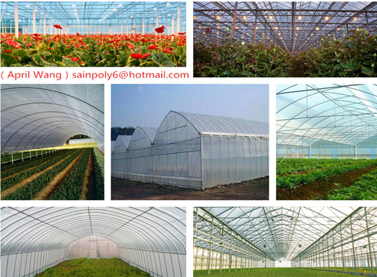 Wholesale Plastic-Film Greenhouse for Vegetable