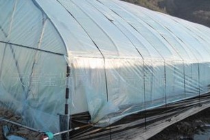 Greenhouse Nylon Ribbon for Holding Poly Film