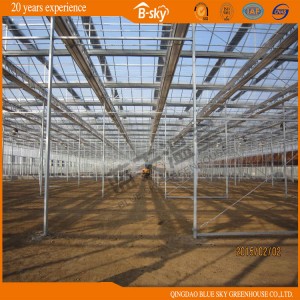 Agricultural Planting Glass Green House