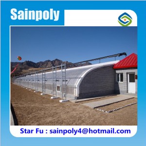 Best Quality Winter Used Solar Greenhouse for Sale