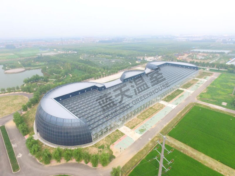 Glass Green House with High Quality and Favorable Price