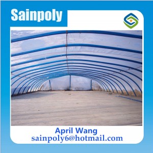 Hot Sale Plants Greenhouse for Vegetable