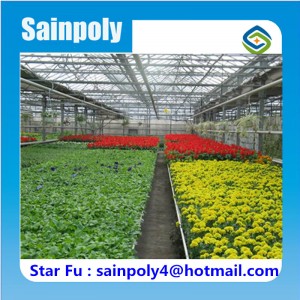 High Quality China Supplier Glass Greenhouse for Commercial