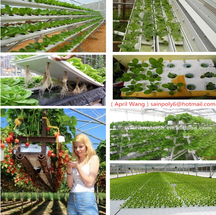 Low Price Plastic-Film Greenhouse Used