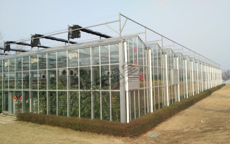 High Cost Performance Glass Greenhouse for Picking Garden