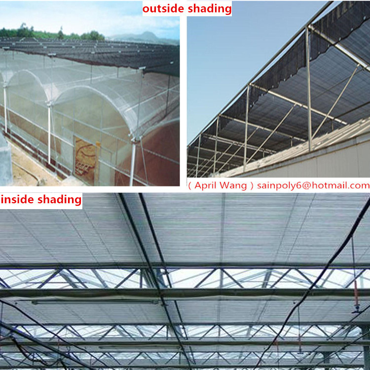 High Quality Plastic-Film Greenhouse for Agriculture