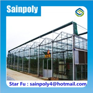 Most Popular Modern Glass Greenhouse for Sale
