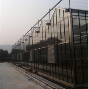 Prefabricated Glass Greenhouse for Agriculture