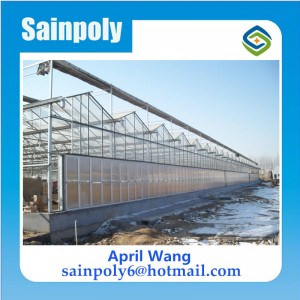 Hot Sale Polycarbonate Greenhouse for Agricultural