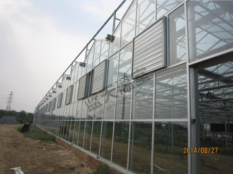 Long Life-Span Glass Green House for Agricultural Planting