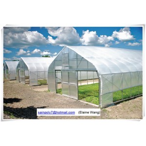 Commercial Hydroponic Film Green House for Grape