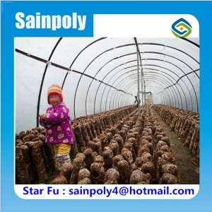 High Quality Plastic Covered Tunnel Greenhouse for Mushroom