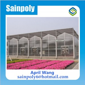 The Cheapest Polycarbonate Greenhouse for Agricultural