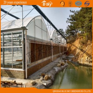 High Quality F-Clean Multi-Span Film Greenhouse with Glass Wall