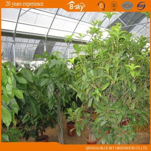 Long Life-Span Multi-Span Film Greenhouse with Arch Structure