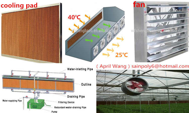High Quality Plastic-Film Greenhouse for Growing System