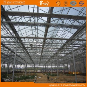Extensively Used Venlo Structure Beautiful Glass Greenhouse