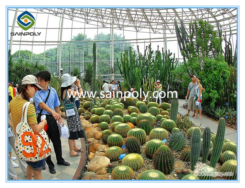 Multi-Span Commercial Glass Greenhouse for Sale