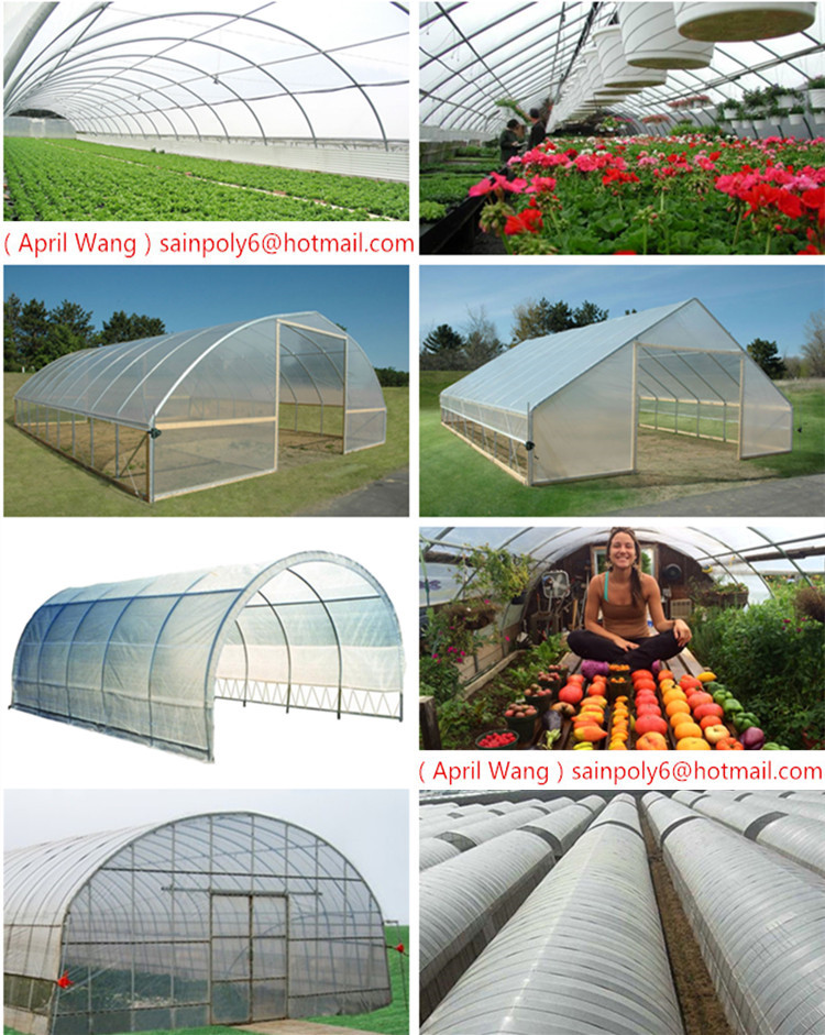 Hot Sale Film Tunnel Greenhouse for Agricultural