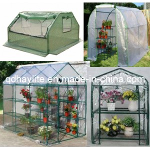 Flower Plant Vegetable Popular Greenhouse