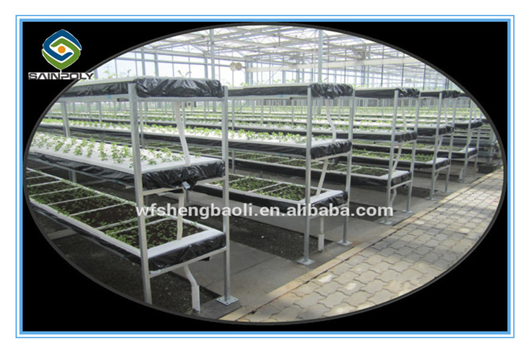 Professional Factory New Design Hydroponic Greenhouse for Vegetable