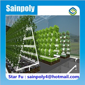 Low Cost High Quality Agricultural Used Hydroponic Greenhouse