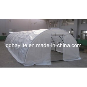 Multi-Span Glass PE PVC Plastic Commercial Greenhouse (1030)