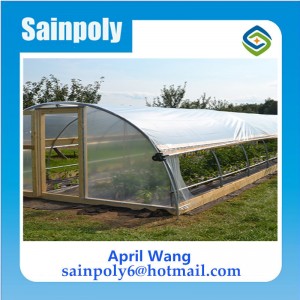 Hot Sale Film Tunnel Greenhouse for Agricultural
