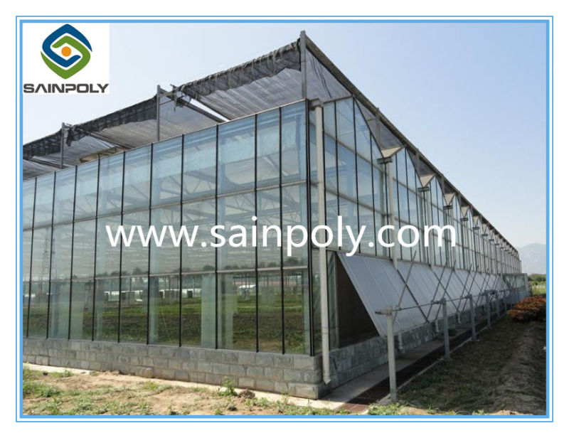 Modern Design Hot Selling Glass Greenhouses for Vegetable